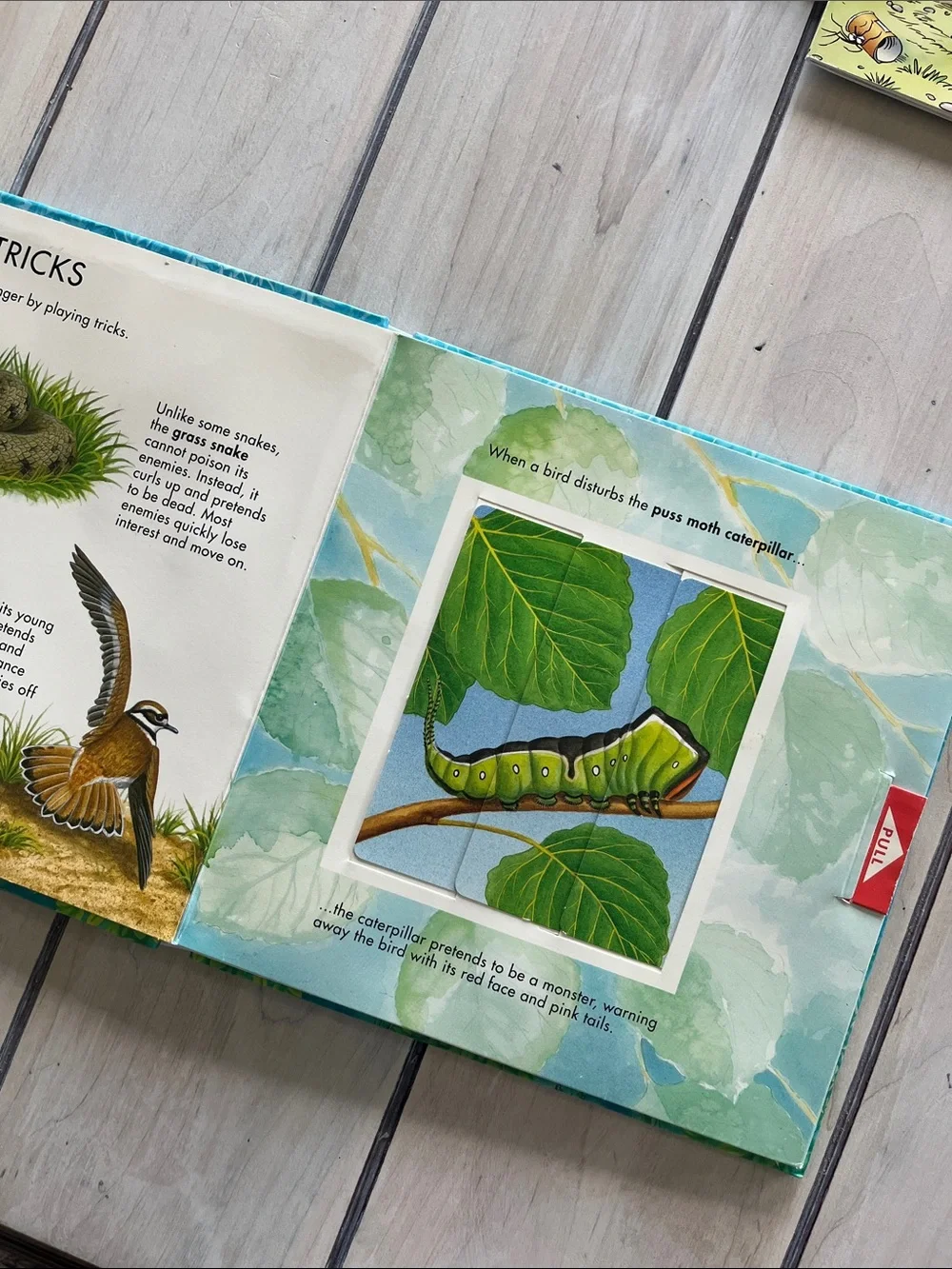Earth Day Book Bundle - 3 children’s book